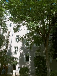 Na zdjęciu jasna elewacja w budynku mieszkalnym przesłonięta koroną drzewa