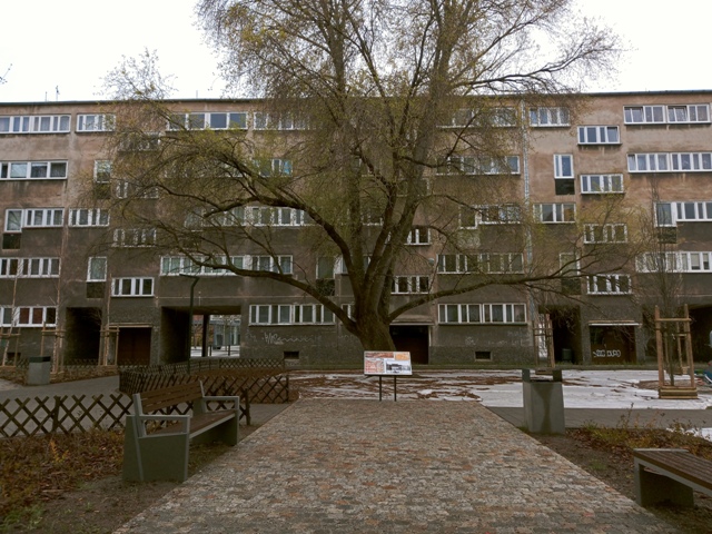 Na zdjęciu widoczny chodnik z kostki, kolejno tablica informacyjny, rozłożyste, zazieleniające się drzewo, a w tle budynek mieszkalny