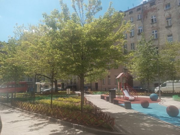 W centralnym punkcie widoczna alejka na podwórku, po prawej mały plac zabaw, po lewej stronie kilka młodych drzew