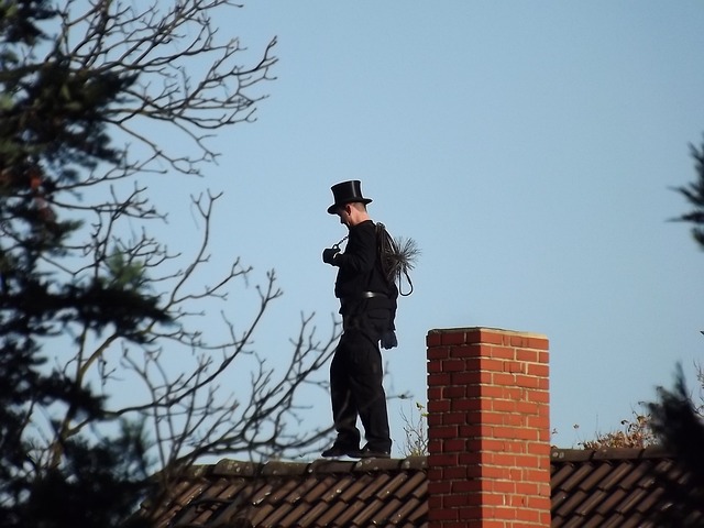 zdjęcie kominiarza w pełnym uniformie stojącego tyłem na dachu