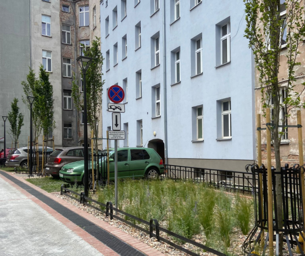 Na zdjęciu widoczne są trawy ozdobne