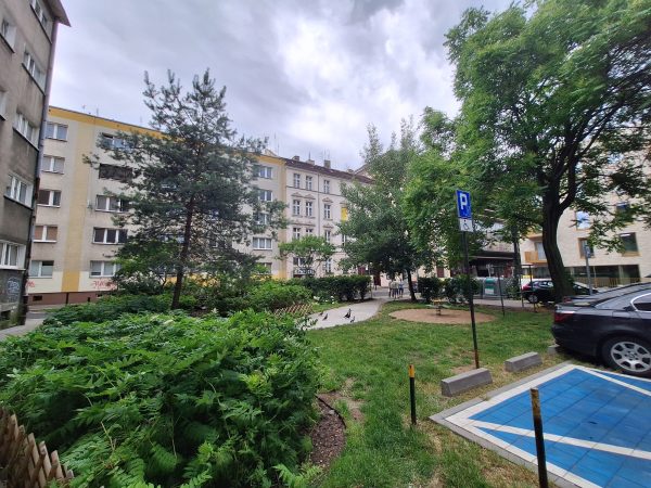 Widok na zielony skwer. Po prawej stronie widoczne wyznaczone miejsce do parkowania dla osób z niepełnosprawnościami; w tle miejskie kamienice